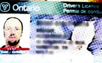Driver’s Licence 2