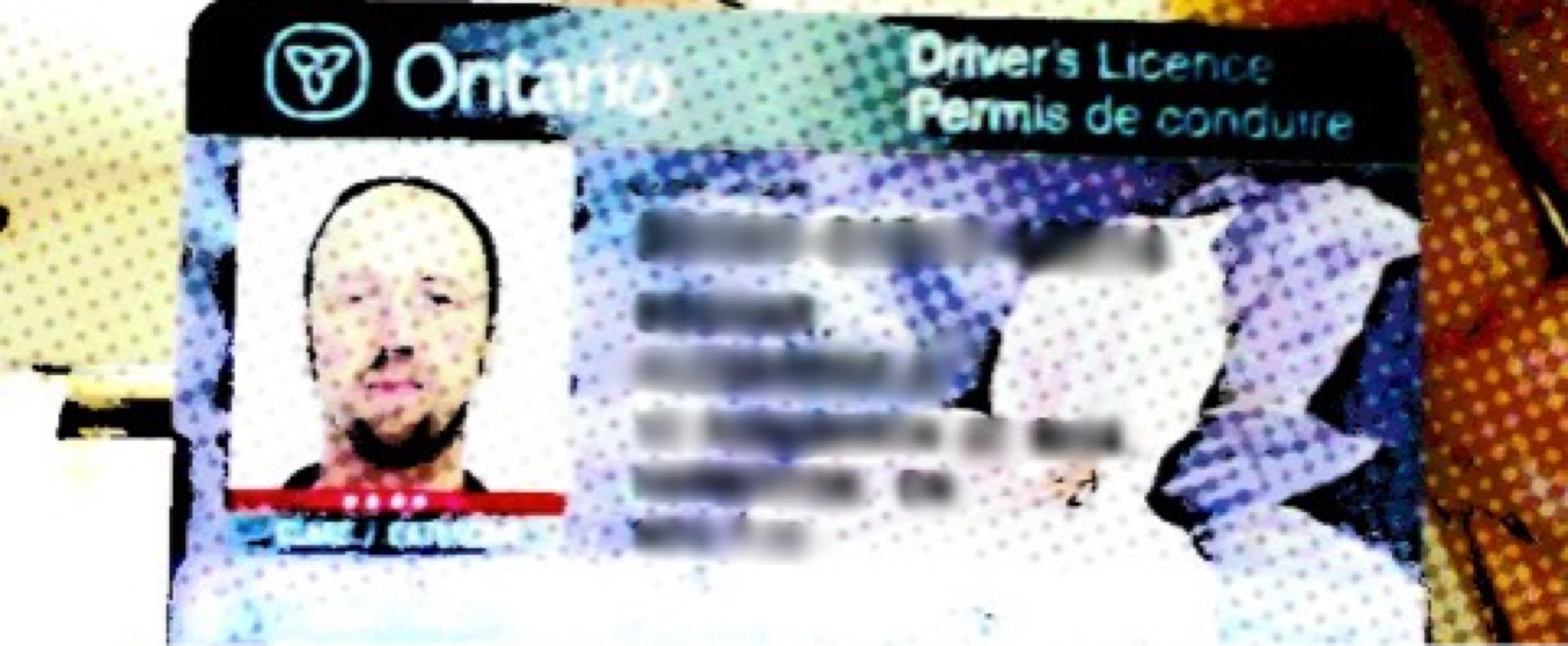 Driver's License 2 Image