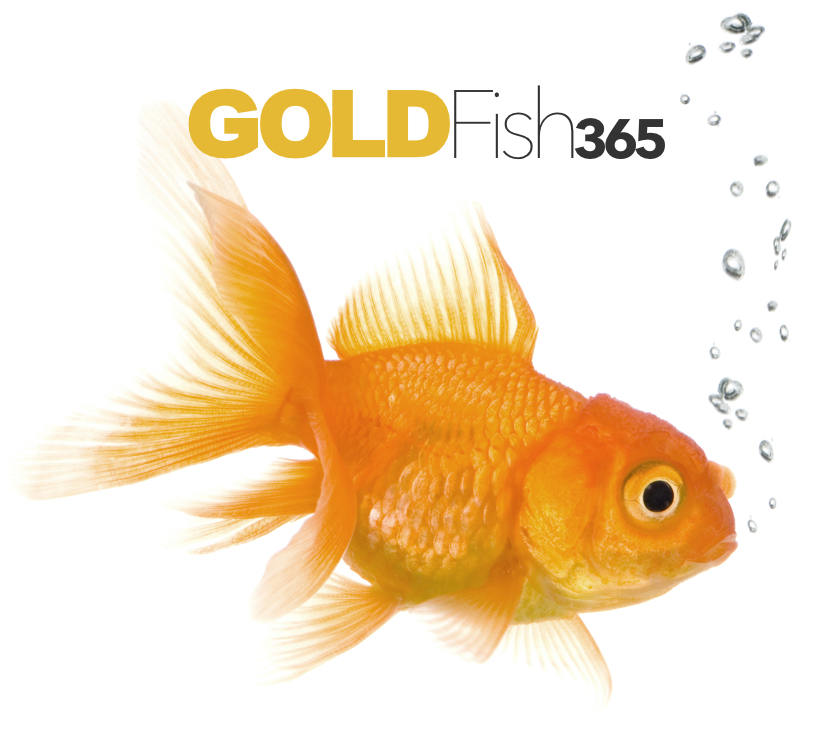 GoldFish Logo