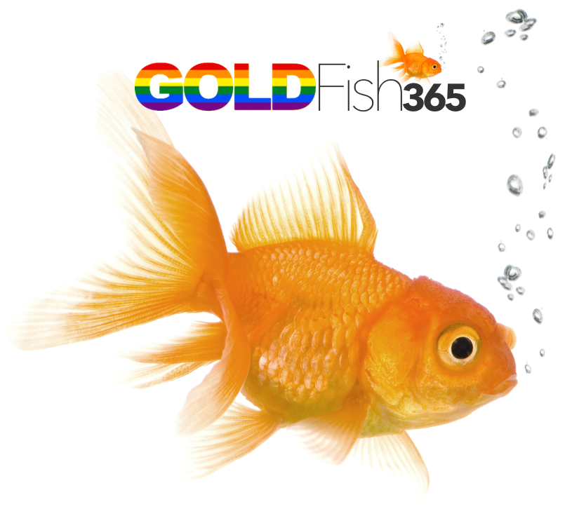 GoldFish Rainbow Audio cover 